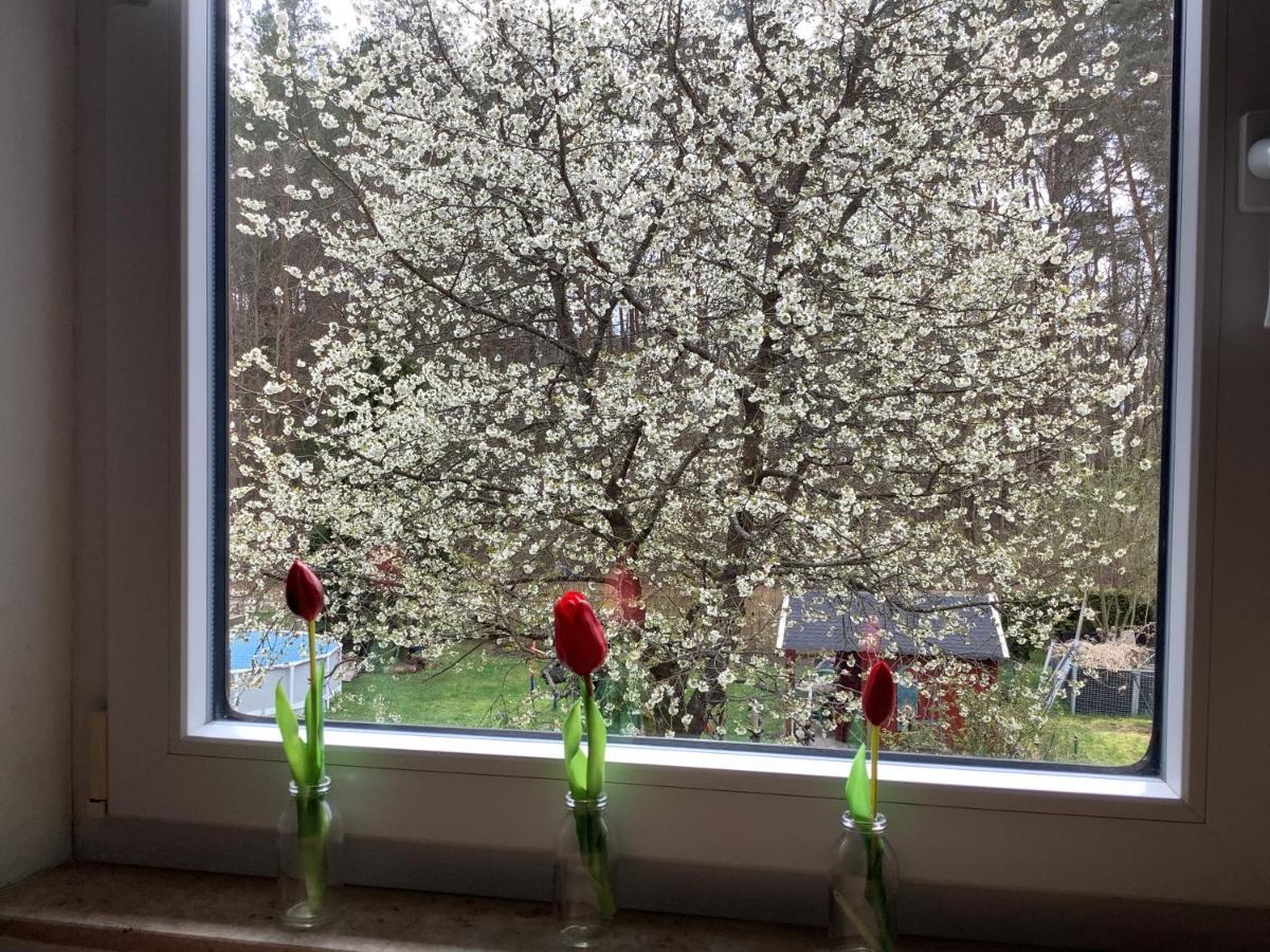 Ferienwohnung Schwarzachhoehe Nur Fuer Erwachsene 벤델스타인 외부 사진